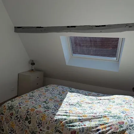 Le Triplex Maison De Renovee 別荘 *